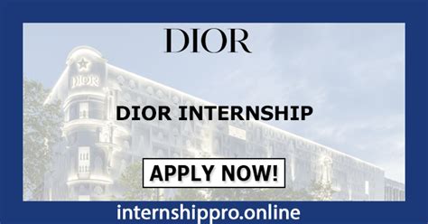 dior internship summer 2023|dior mentorship programs.